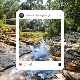 social media post