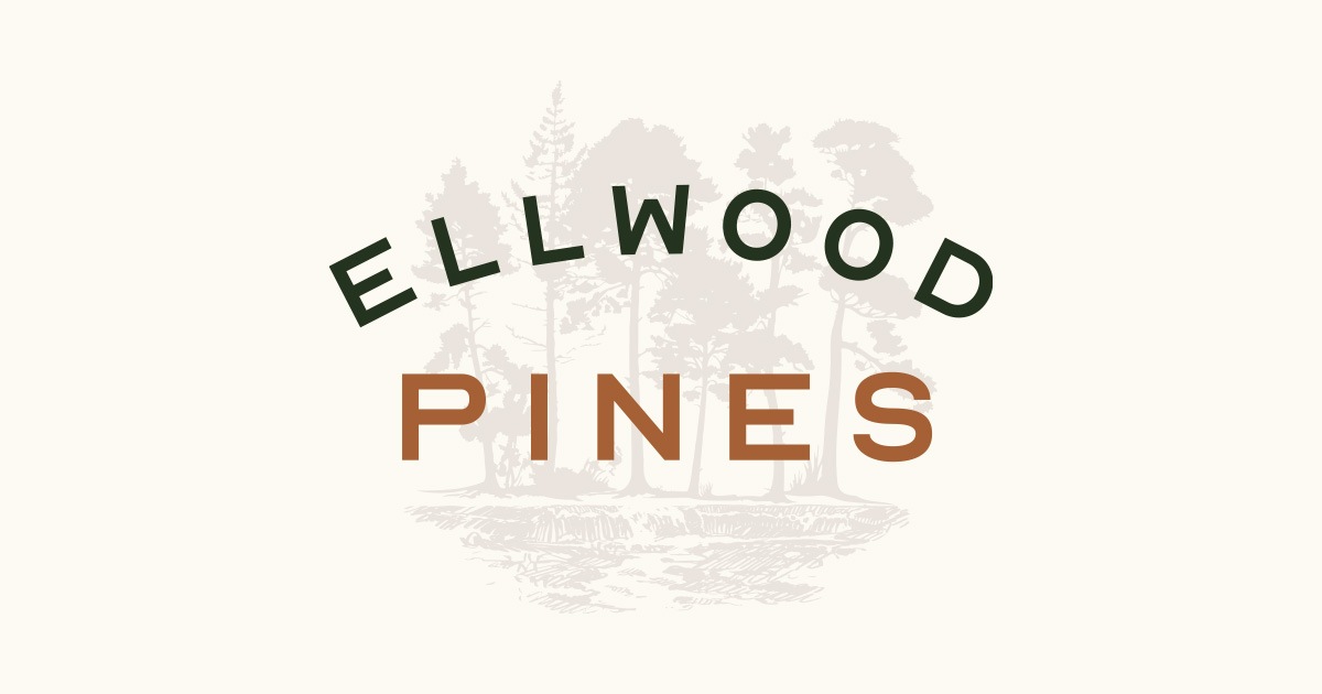 2 Bedroom Apartment – 1000 Holcomb Bridge Road #875E, Roswell, GA