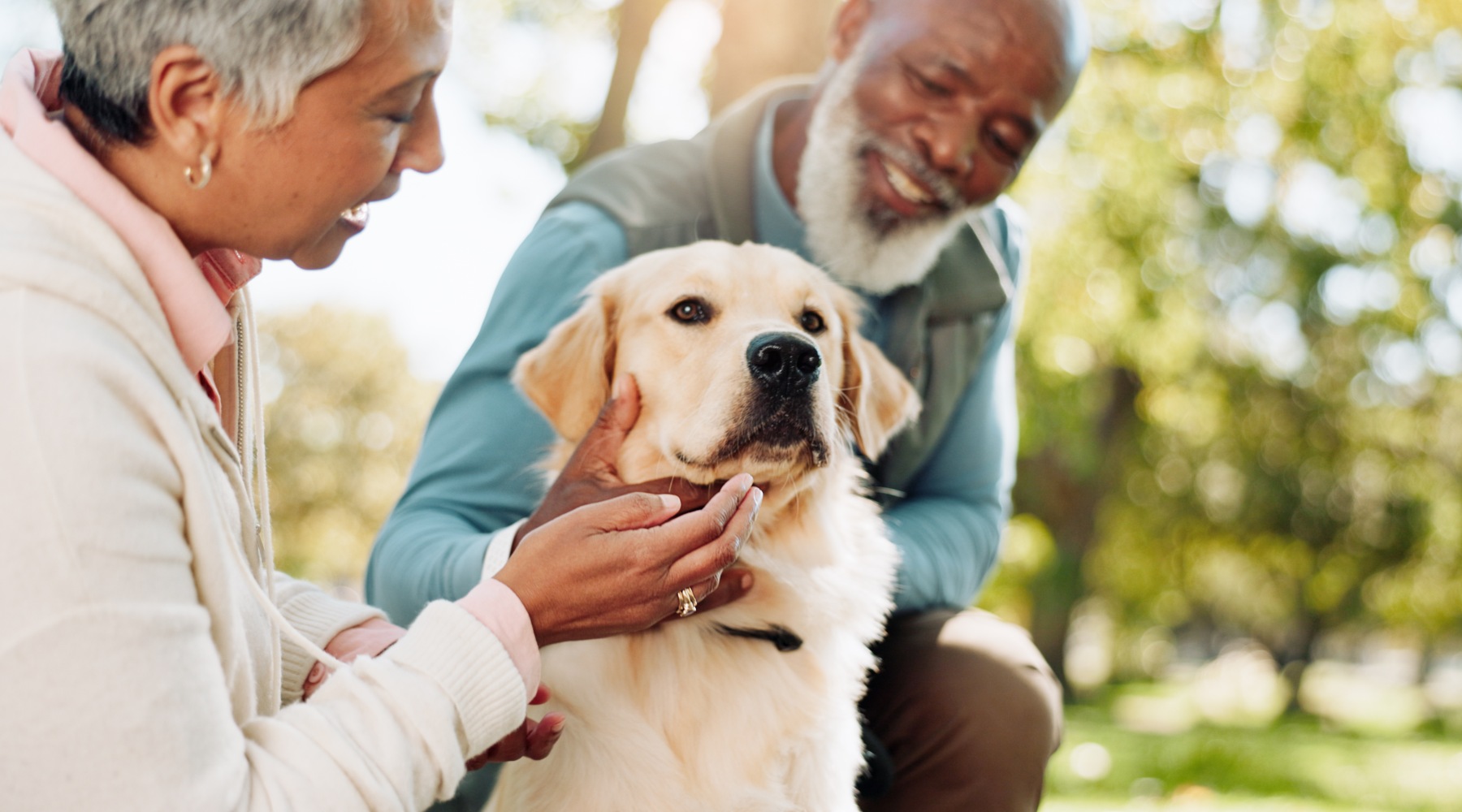 Couple playing with their pet dog