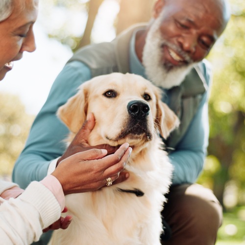 Pet Policy Image